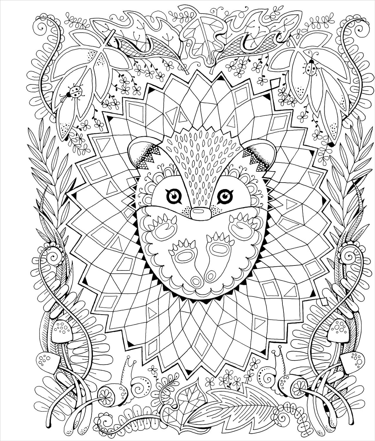 Color & Frame In the Forest Coloring Book, Stacy Peterson - Imagem 2
