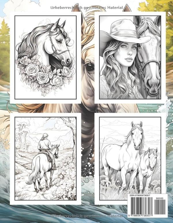 Contra capa do livro