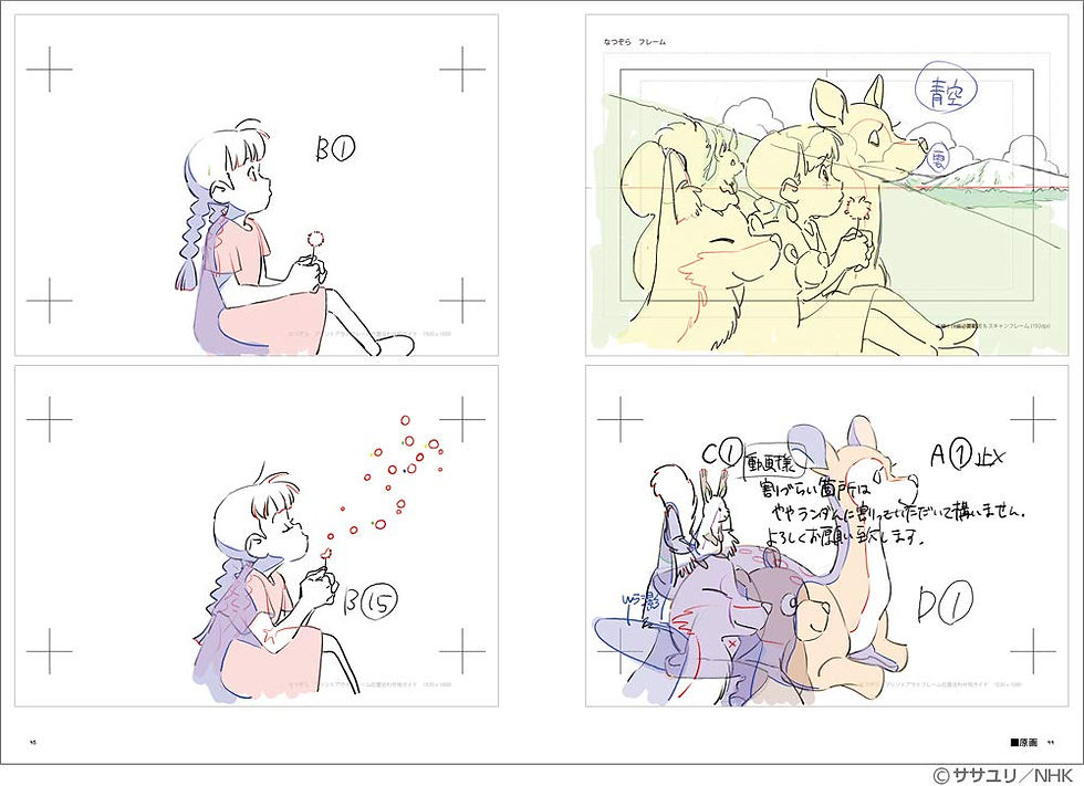 Contra capa do livro