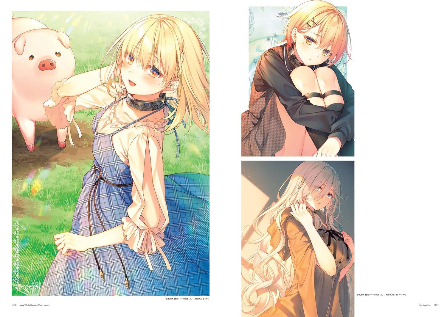 Tosaka Asagi Illustration Collection Lumiere - Imagem 5
