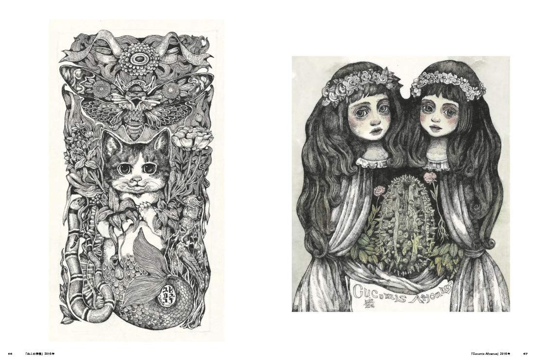 Conteúdo do livro 5