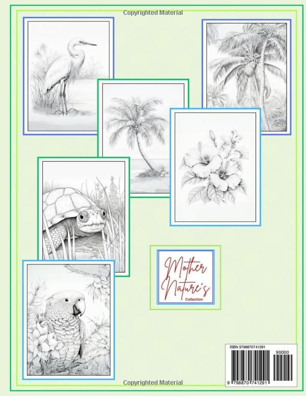 Contra capa do livro