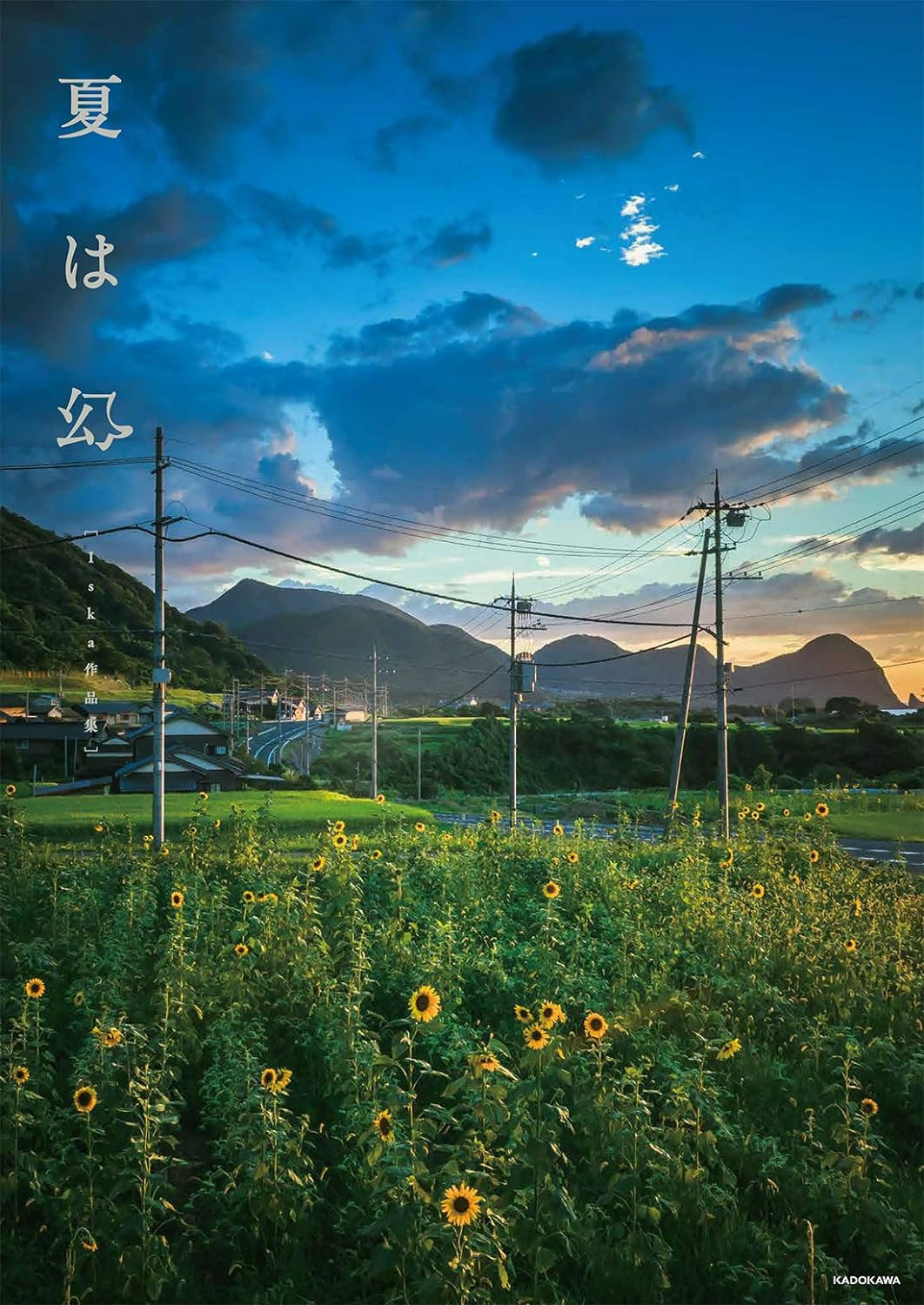 Contra capa do livro