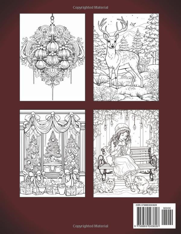 Contra capa do livro