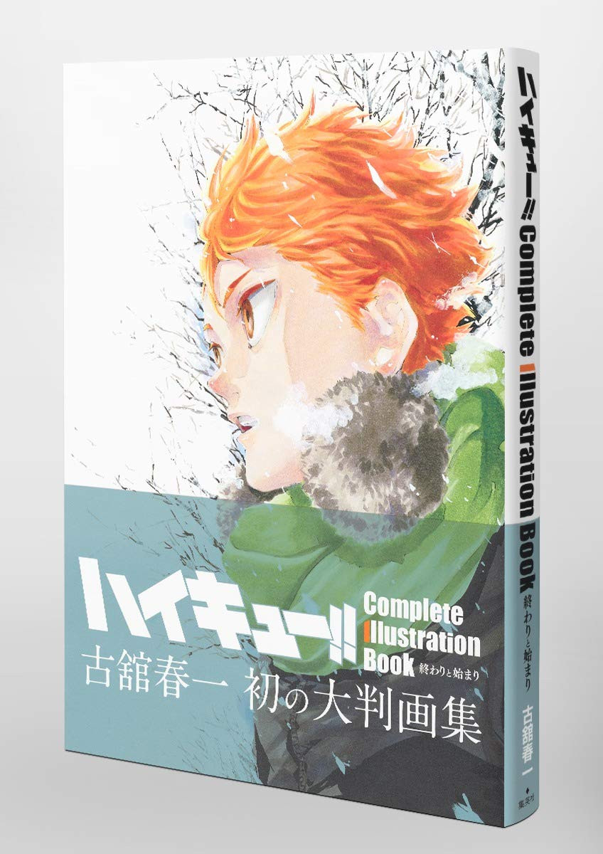 Haikyu!! Complete Illustration Book: End and Beginning - Imagem 2