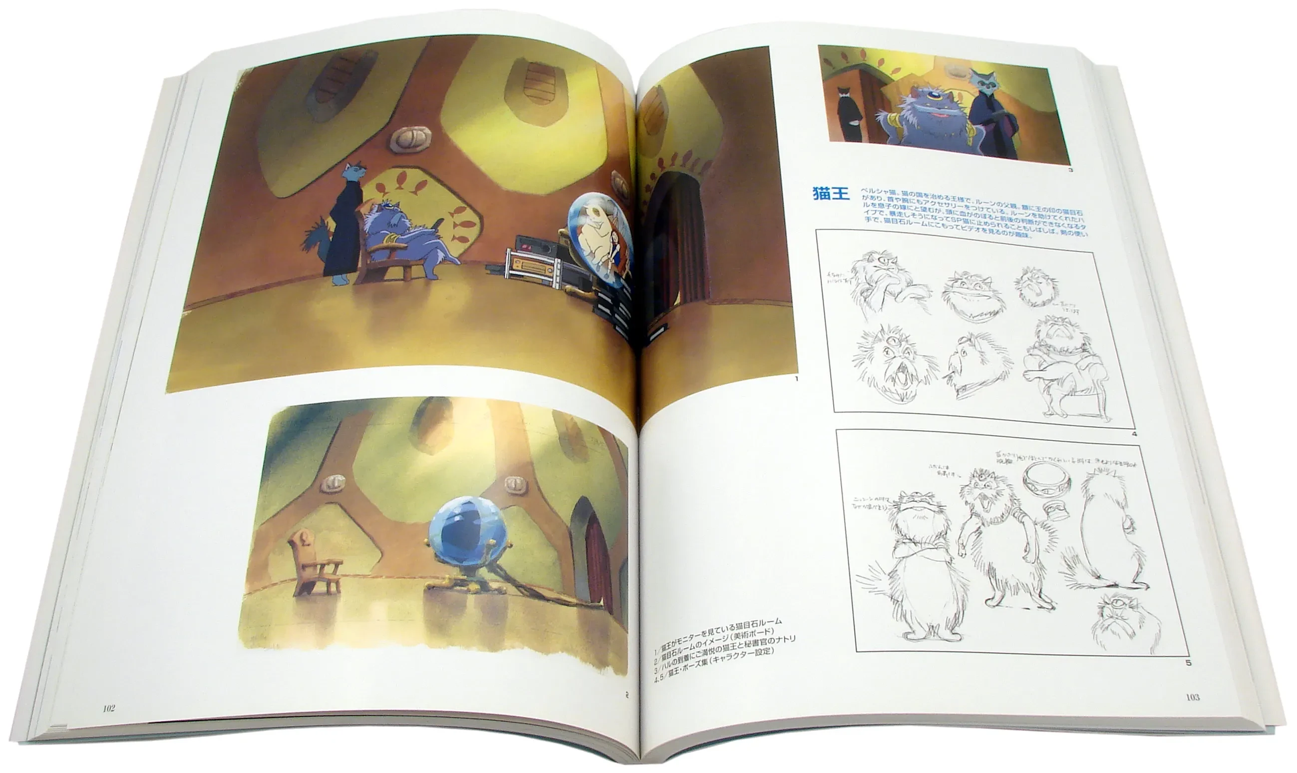 Contra capa do Livro