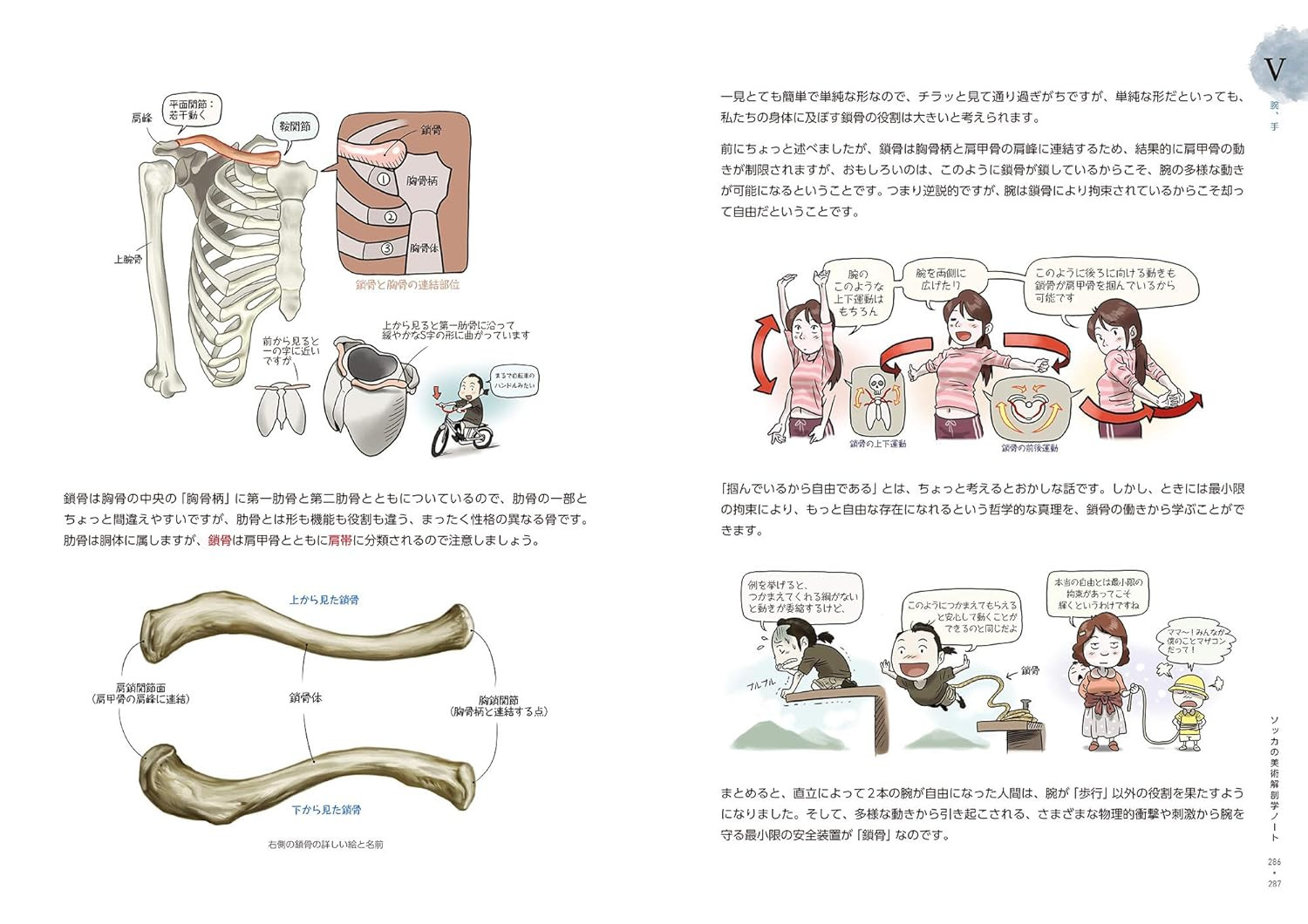 Conteúdo do livro 1