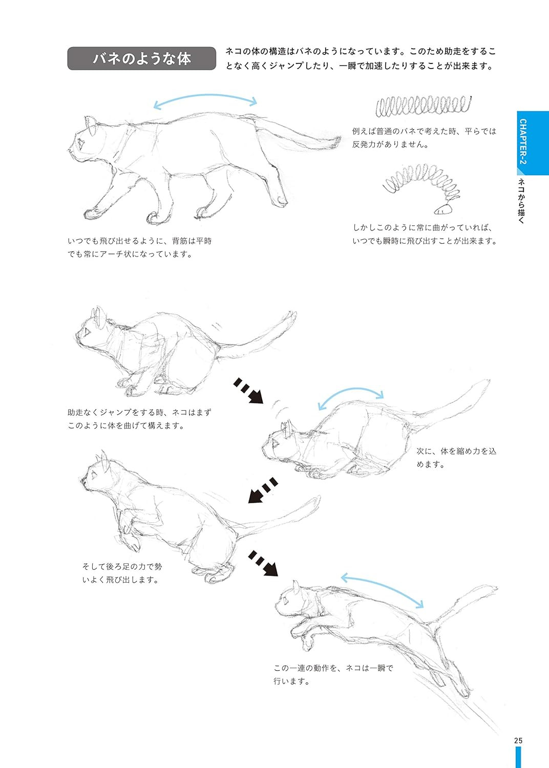 Conteúdo do livro 2