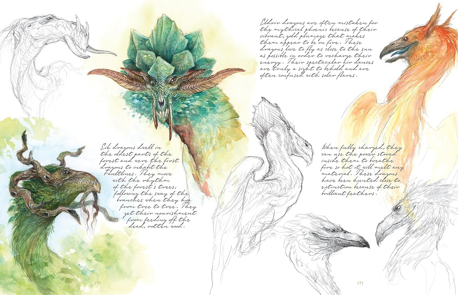 Faeries of the Faultlines: Expanded, Edited Edition - Imagem 2