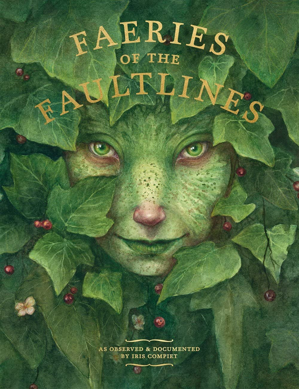 Faeries of the Faultlines: Expanded, Edited Edition - Imagem 5