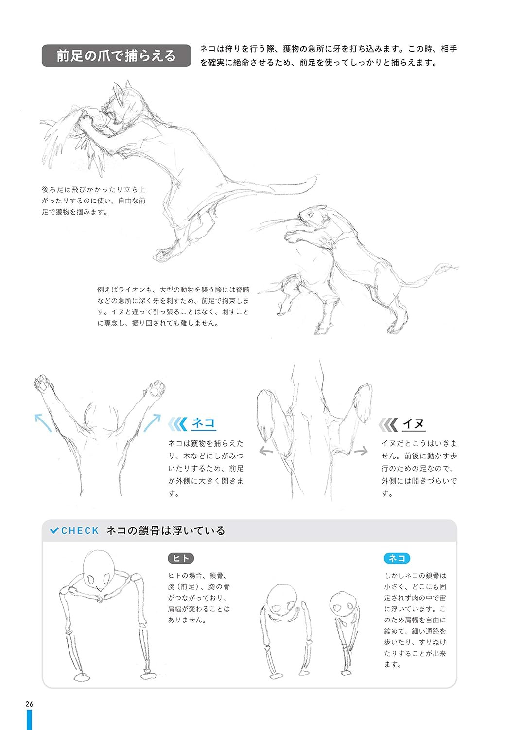 Contra capa do livro