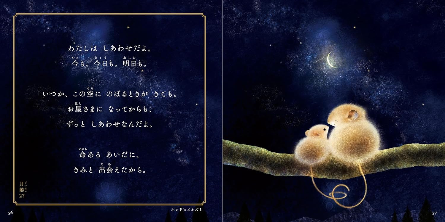 I 'm Here By Your Side, Saeko Inui - Imagem 4