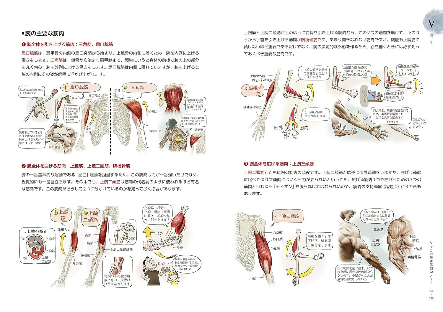Contra capa do livro