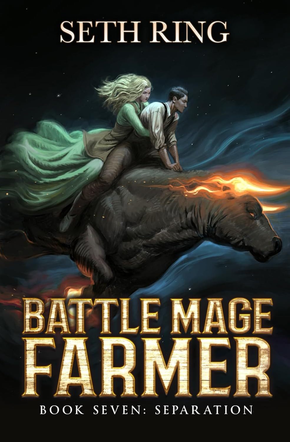 Separation A Fantasy LitRPG Adventure (Battle Mage Farmer)