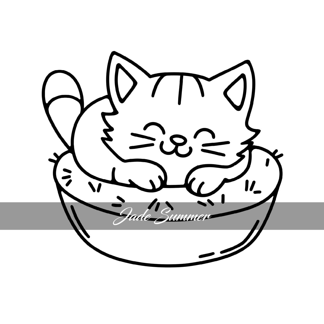 Contra capa do livro 1