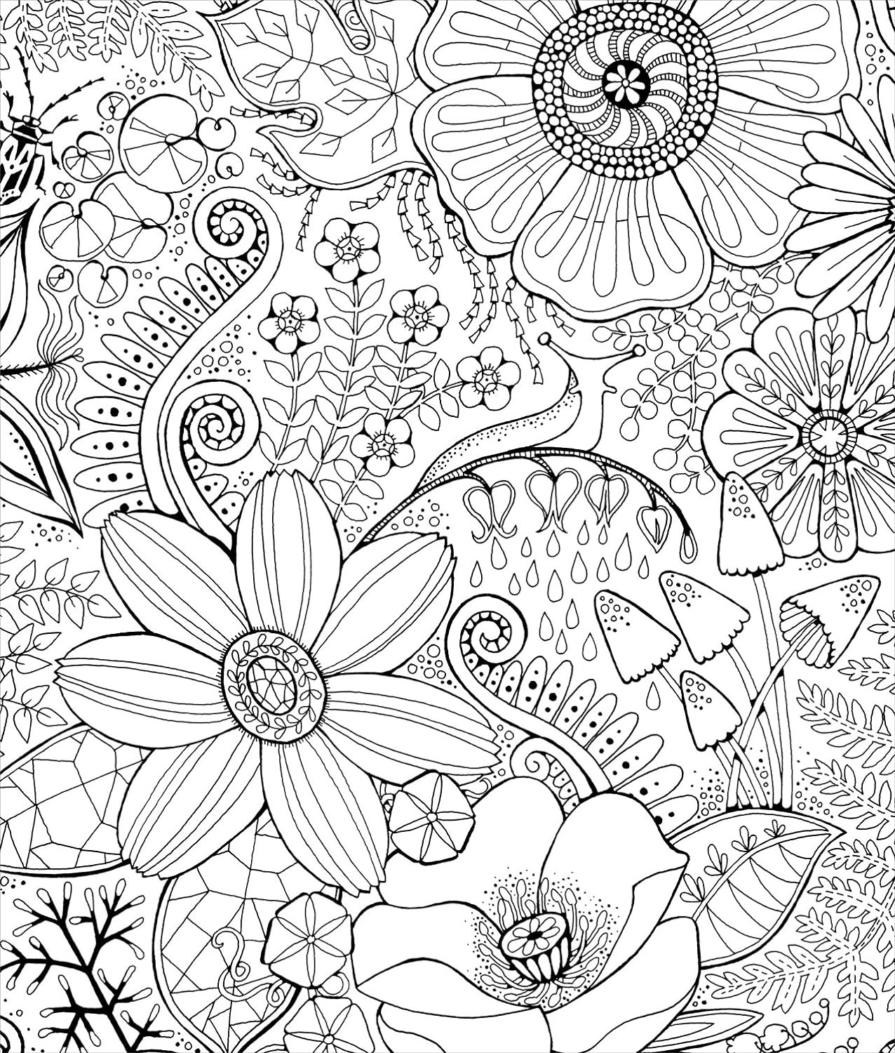 Color & Frame In the Forest Coloring Book, Stacy Peterson - Imagem 3