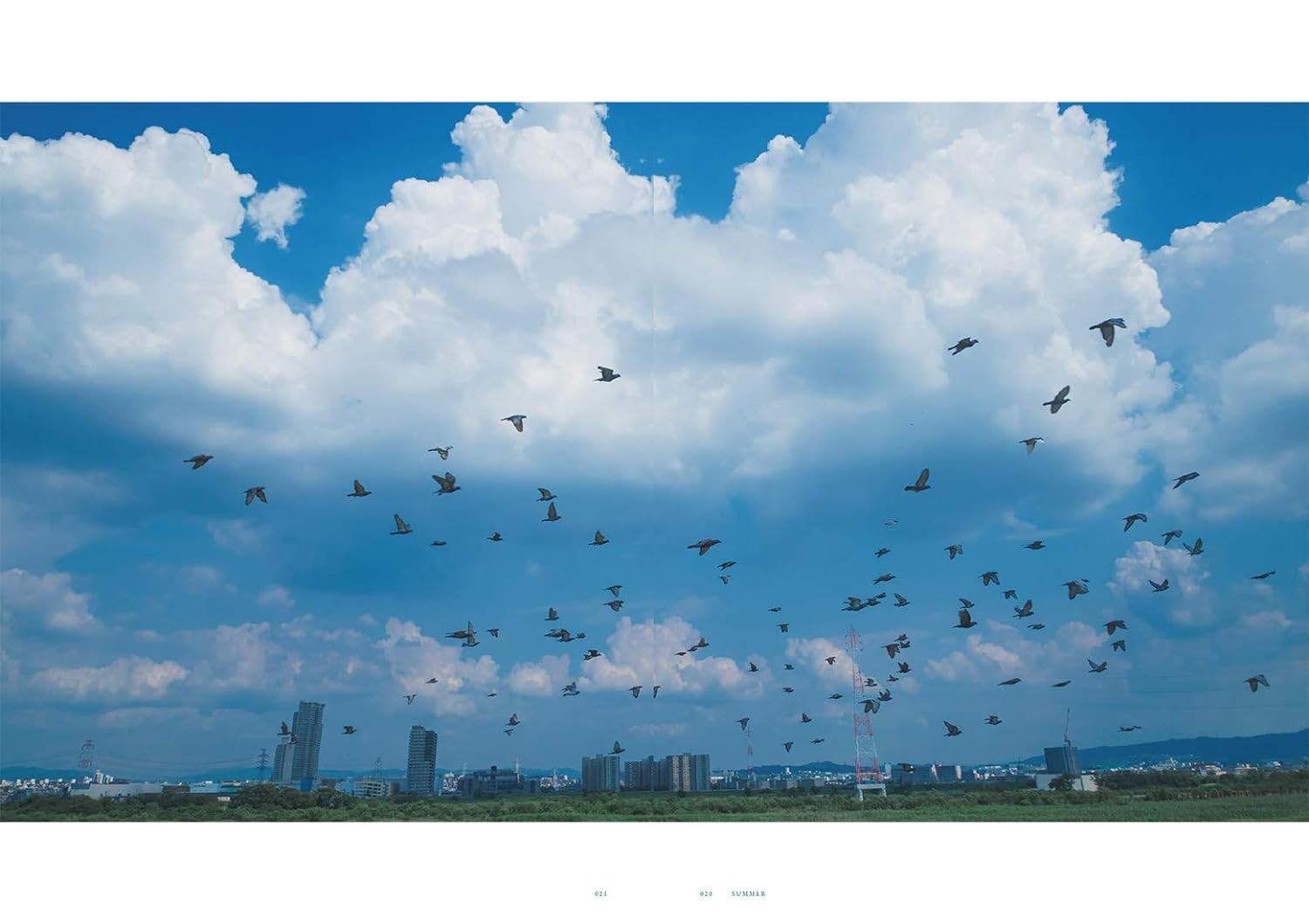 Conteúdo do livro 1