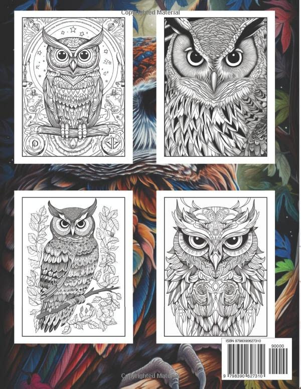50 Owls Coloring Book for Adults - Imagem 2