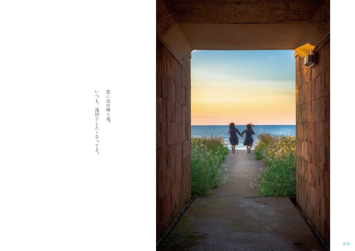 Conteúdo do livro 1