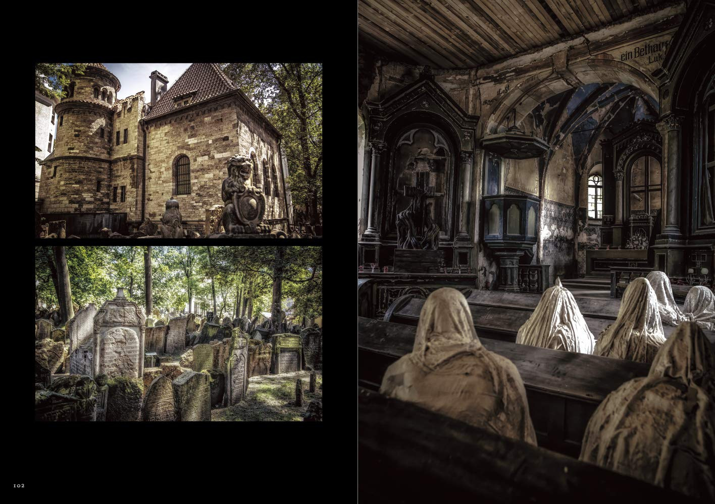 Contra capa do livro