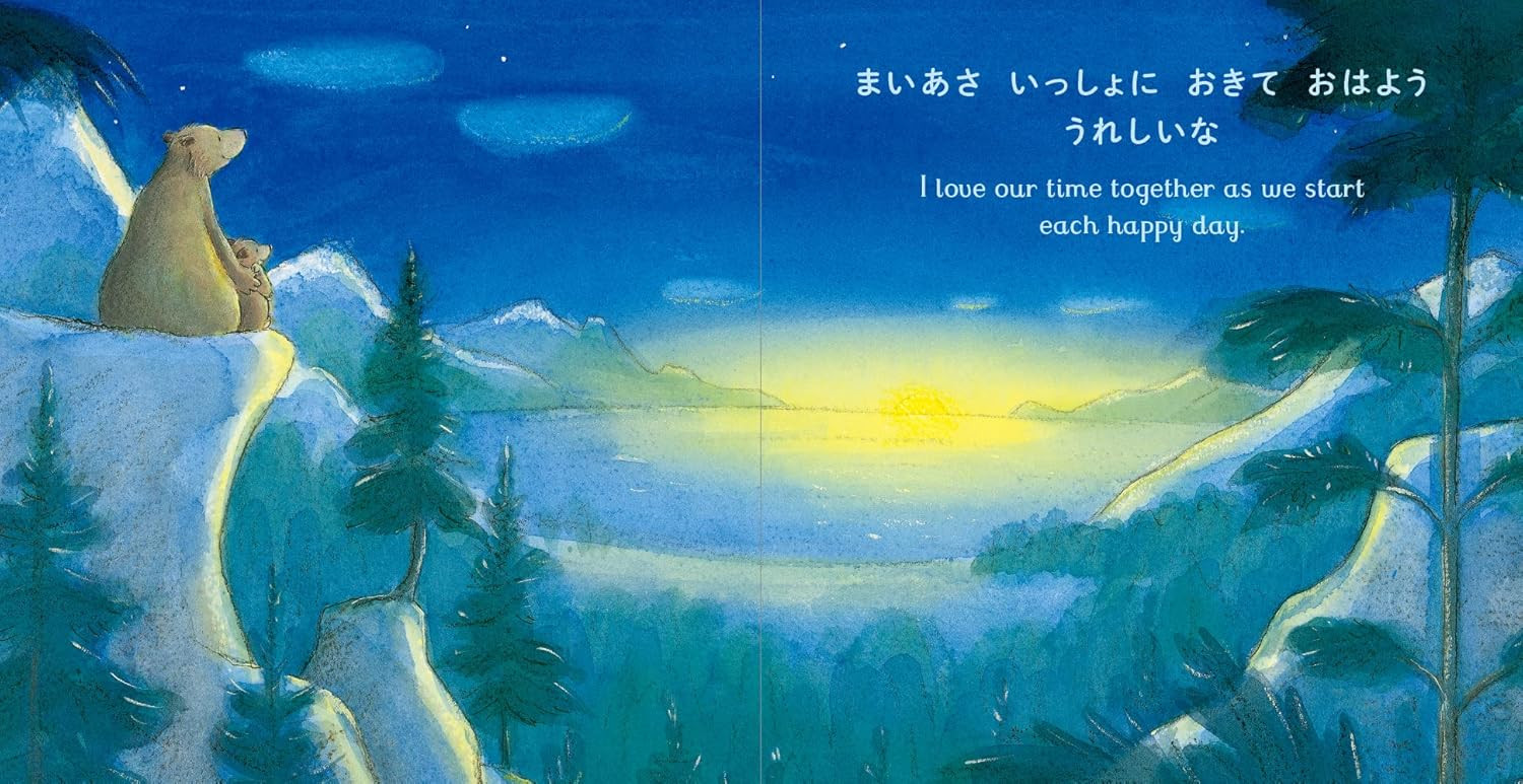 Contra capa do livro