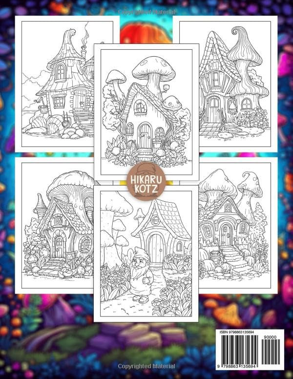 Contra capa do livro