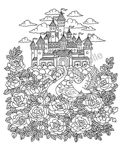 Botanicum Coloring Book: Special Edition - Maria Trolle - Imagem 3