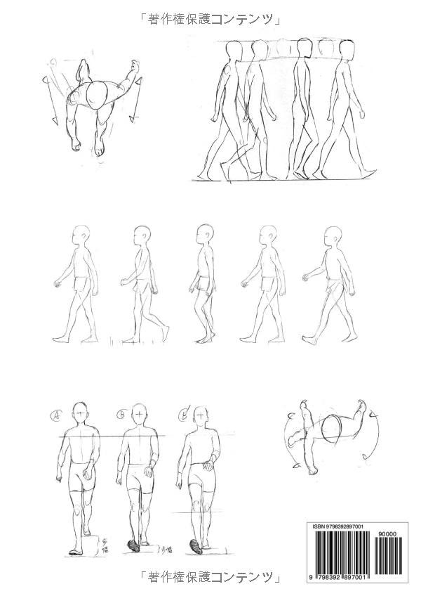 Contra capa do livro