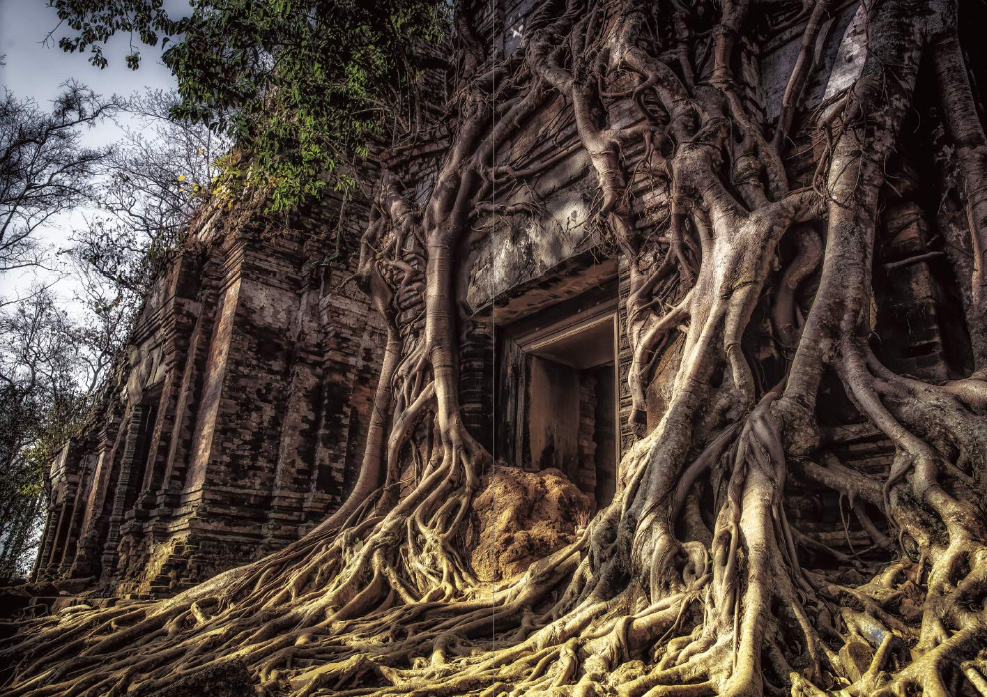 Conteúdo do livro 1