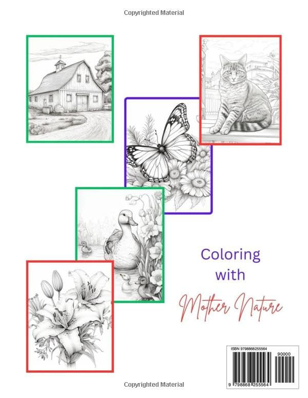 Contra capa do livro