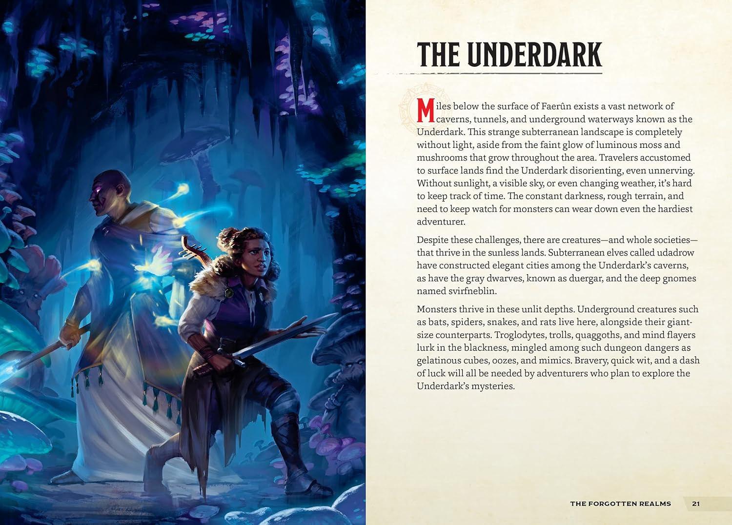 Places & Portals (dungeons & Dragons), Stacy King - Imagem 2