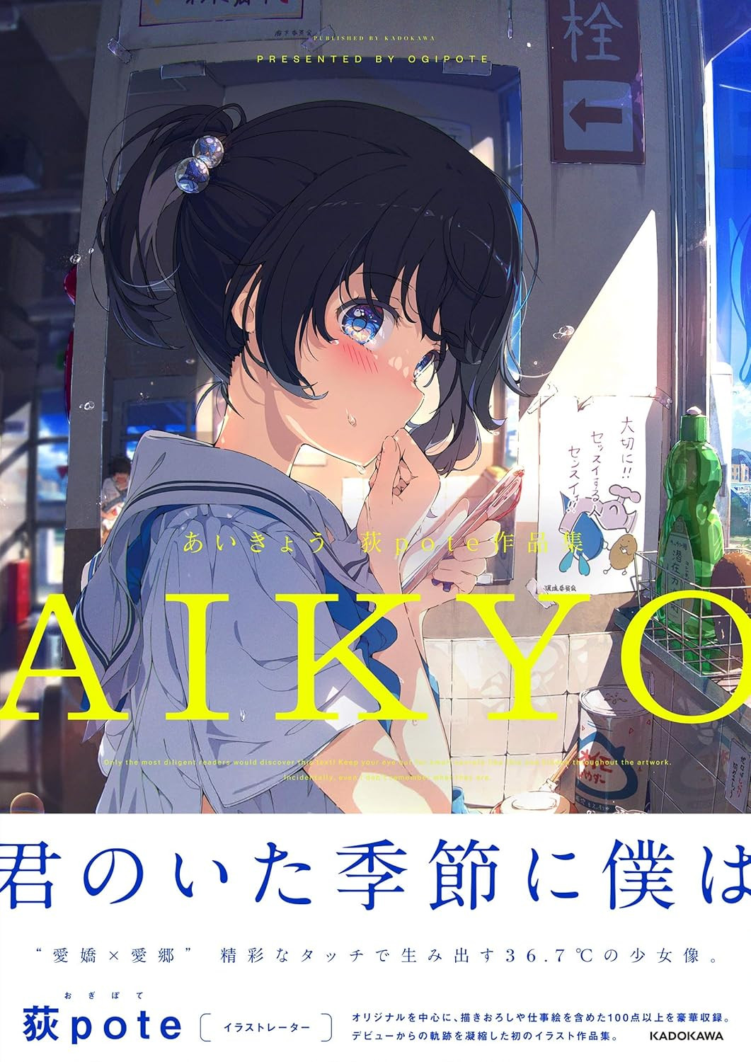Aikyou: Ogipote Art Collection - Imagem 2