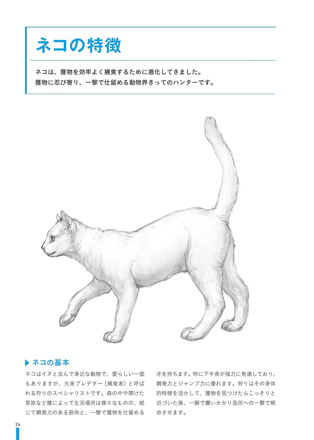 Conteúdo do livro 3