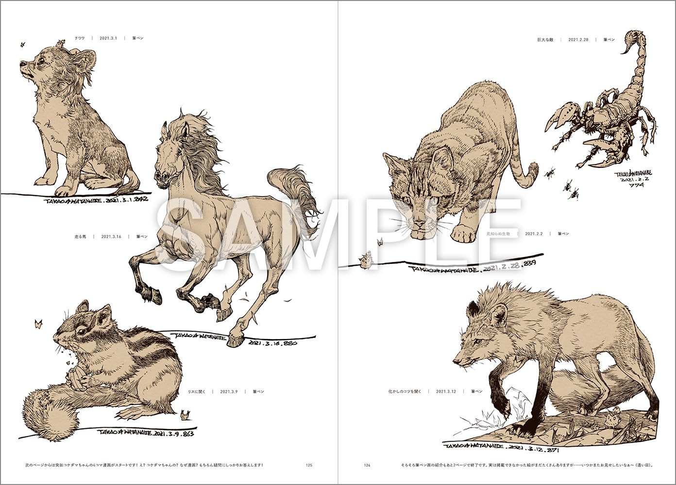 Contra capa do livro