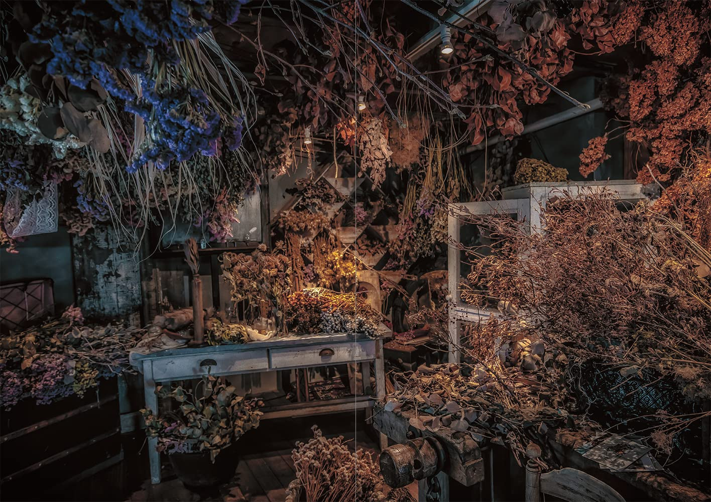 Conteúdo do livro 2