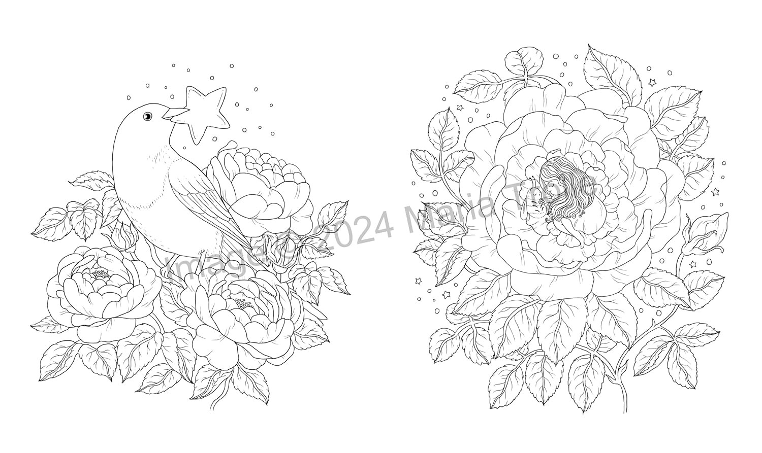 Shooting Star: Coloring Book - Maria Trolle - Imagem 2