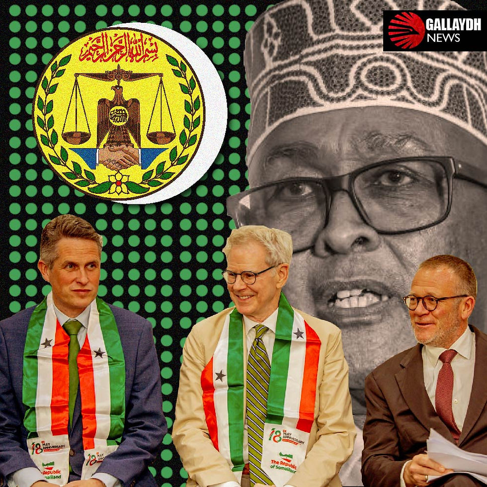 Somaliland Launches SIRI to Spearhead Global Recognition Drive