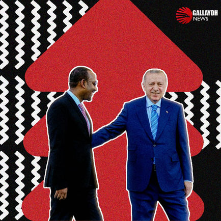Rejeb Tayyib Erdogan and Abiy Ahmed