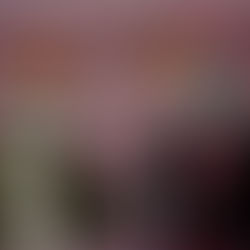 Somaliland Presidency Minister and Donald Trump and Minerals