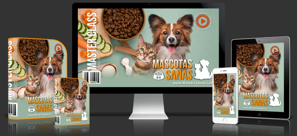 CoverGris.jpg