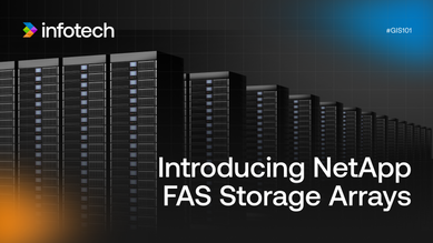 Introducing NetApp FAS Storage Array
