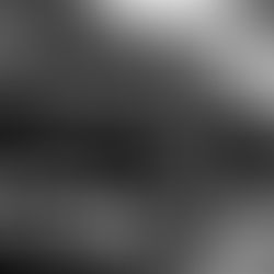 THE BRONZE CHRYSANTHEMUM