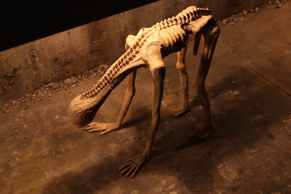 Голова утиль 2. Голова утиль 2. Голова утиль 2. Голова цтилт. Голова утиль 2.