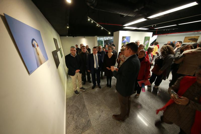 Con acceso gratuito, estará disponible del 20 de enero al 25 de febrero en la galería Jesús Guerrero Galván de la BPEJ