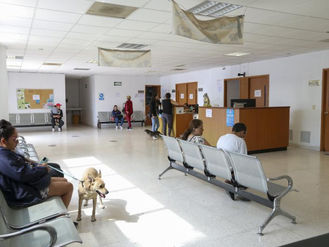 Especialistas de UdeG recomiendan reforzar protocolos de vigilancia a bovinos en Jalisco ante brote de rabia