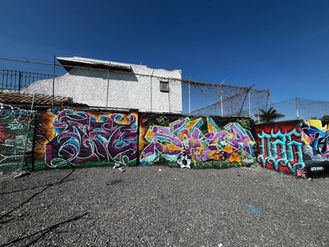 EL ARTE URBANO SE PONE LA CAMISETA DEL MUNDIAL DE FUTBOL EN EL FRACCIONAMIENTO REVOLUCIÓN