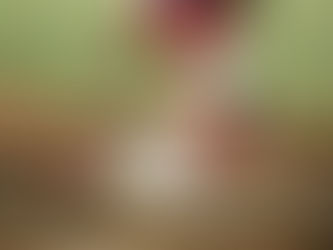 El Estadio Panamericano de Charros fue sede de la ceremonia inaugural de la Serie del Caribe 2026