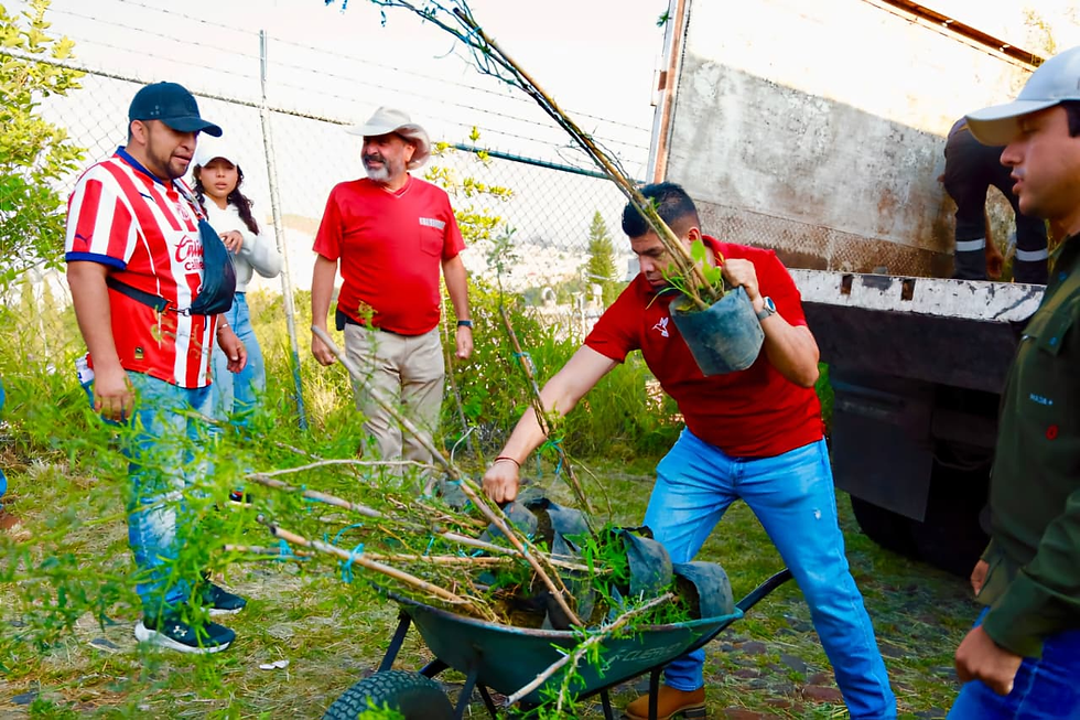 Tlaquepaque fortalece la recuperación de áreas verdes con la plantación de 200 árboles