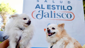Suma Jalisco 31 años sin rabia humana transmitida por perros como resultado a la vacunación gratuita de mascotas