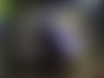 Reconoce Mónica Magaña a vecinas y vecinos por diez años de trabajo conjunto